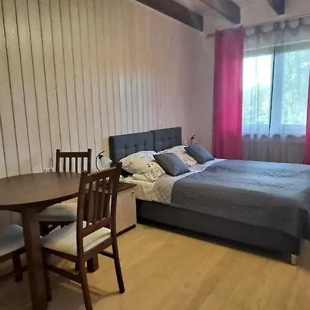 아파트 Nad Stawem