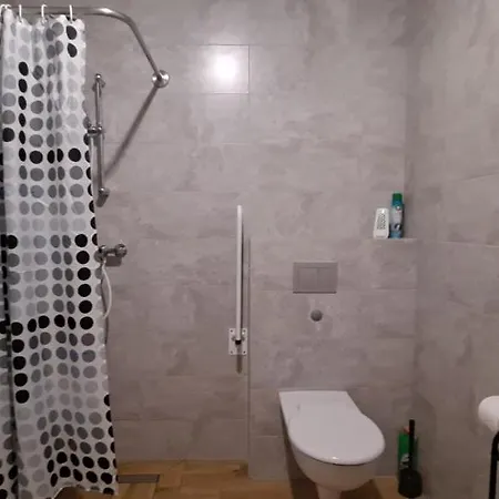 Nad Stawem Apartment Powidz (Slupca)