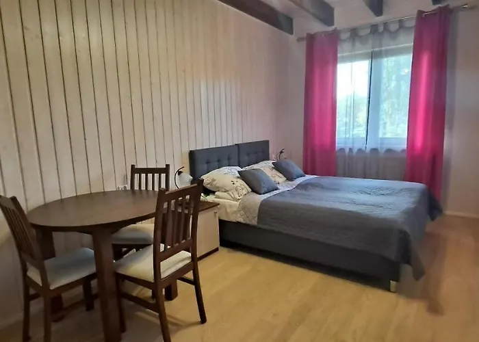 Apartment Nad Stawem